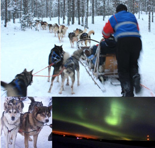 オーロラ（犬ぞり）